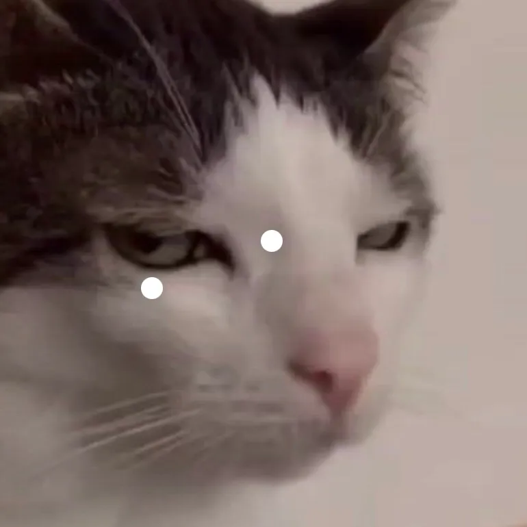 chat with ai character: Side eye kitty