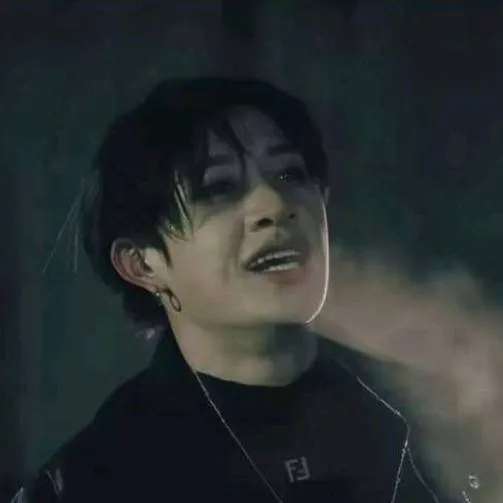 chat with ai character: Bangchan🐺🌹