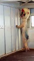 ai character: SCP-173 background