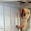 chat with ai character: SCP-173