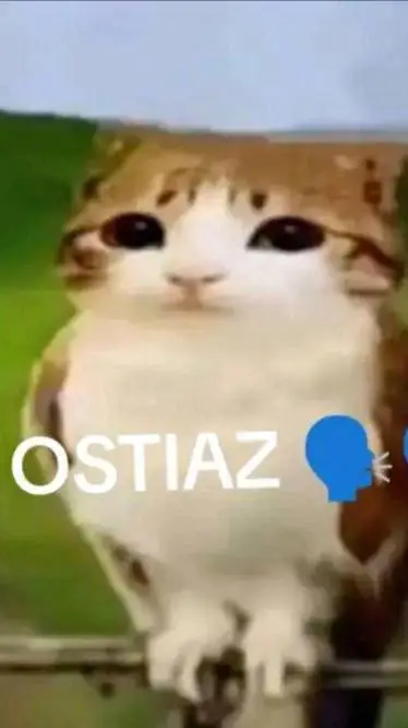 ai character: OZTIAZ background