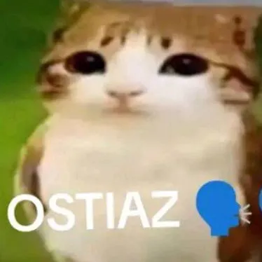 chat with ai character: OZTIAZ
