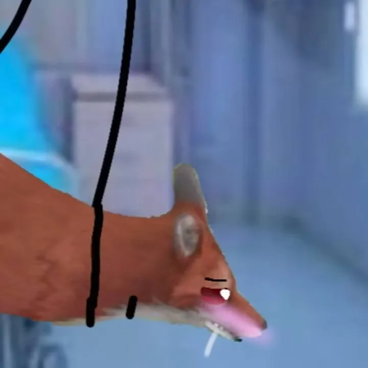 chat with ai character: fox Wildcraft heat