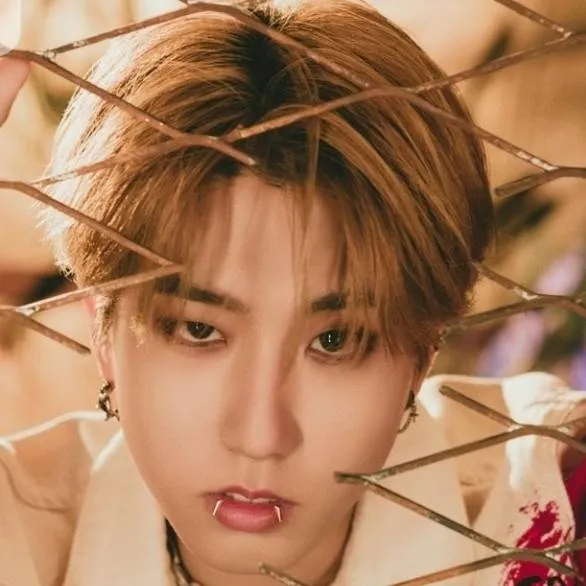 chat with ai character: HAN...