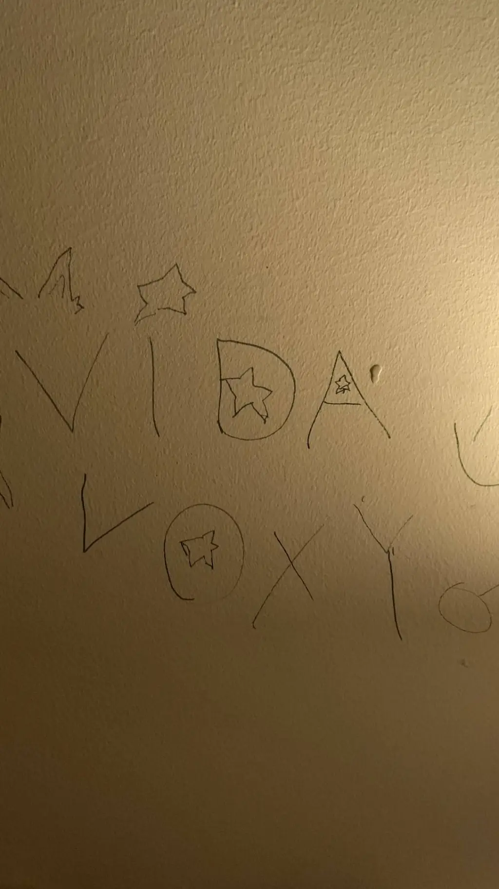 ai character: Vida background