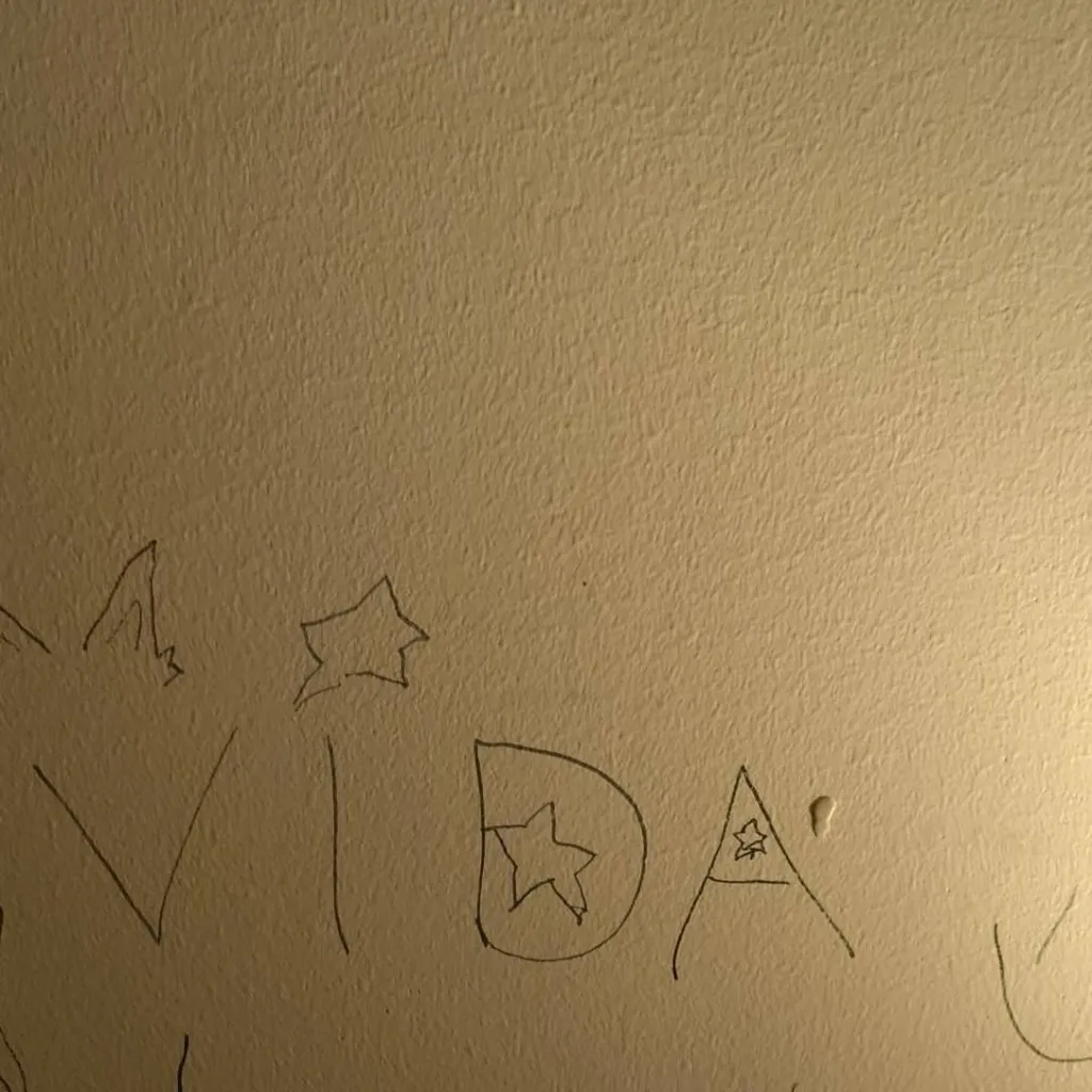 chat with ai character: Vida