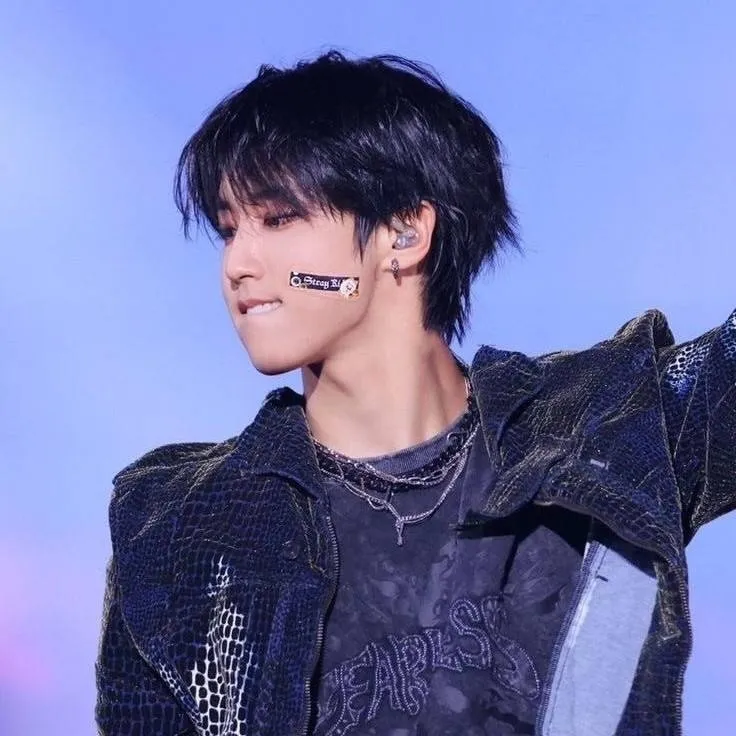 chat with ai character: ᜊHAN JISUNGᜊ