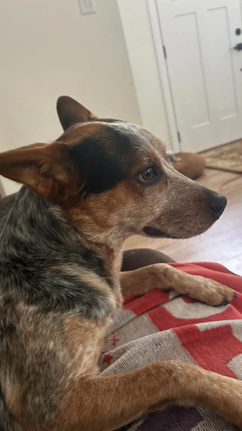 ai character: Colt background