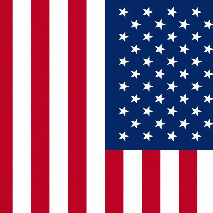 chat with ai character: America