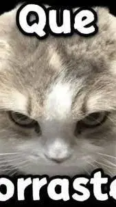 ai character: chiquita saoco  background