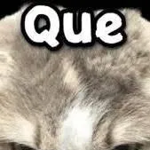 chat with ai character: chiquita saoco 