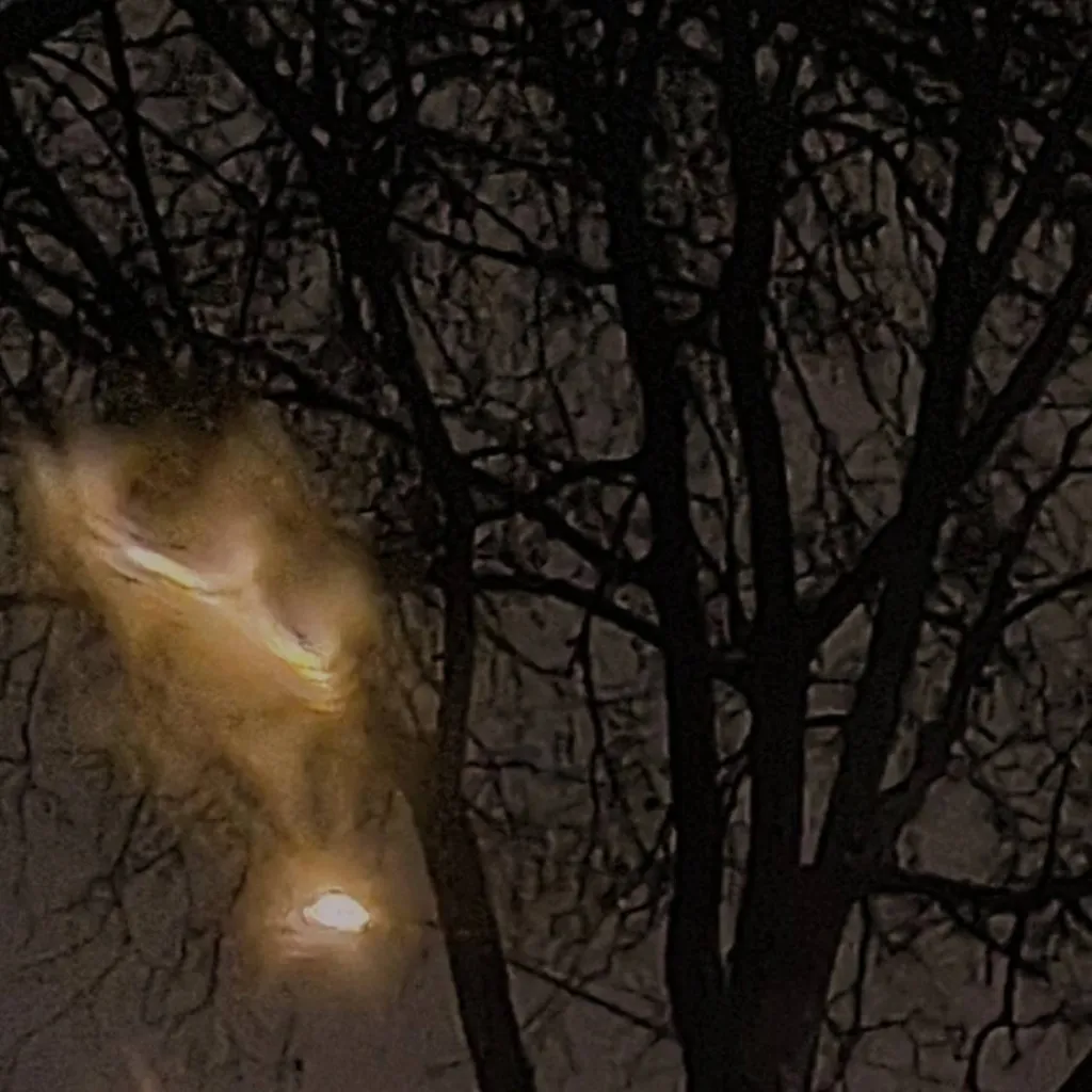 chat with ai character: world richest fam?