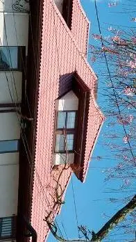 ai character: MAKE UR OWN RP IDC background