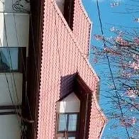 chat with ai character: MAKE UR OWN RP IDC