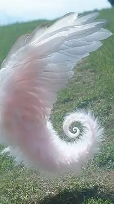 ai character: TGF SURIE background