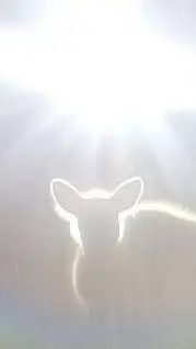 ai character: "happychirstmas.." background