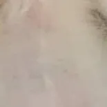 chat with ai character: "Highschl-elemtry"