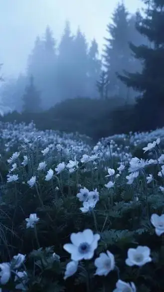 ai character: the Spectre background