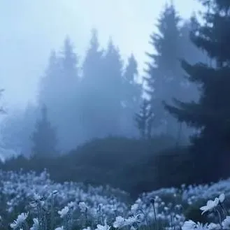 chat with ai character: the Spectre