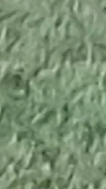 ai character: Muichiro Tokito background