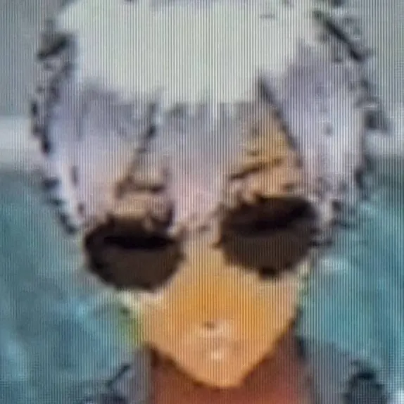 chat with ai character: the~ninja