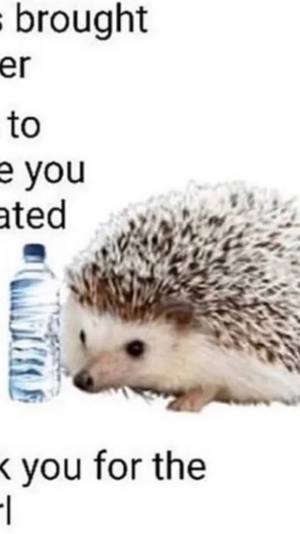 ai character: Hedgehog water background