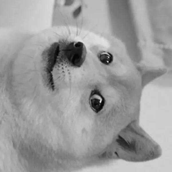 chat with ai character: Doge