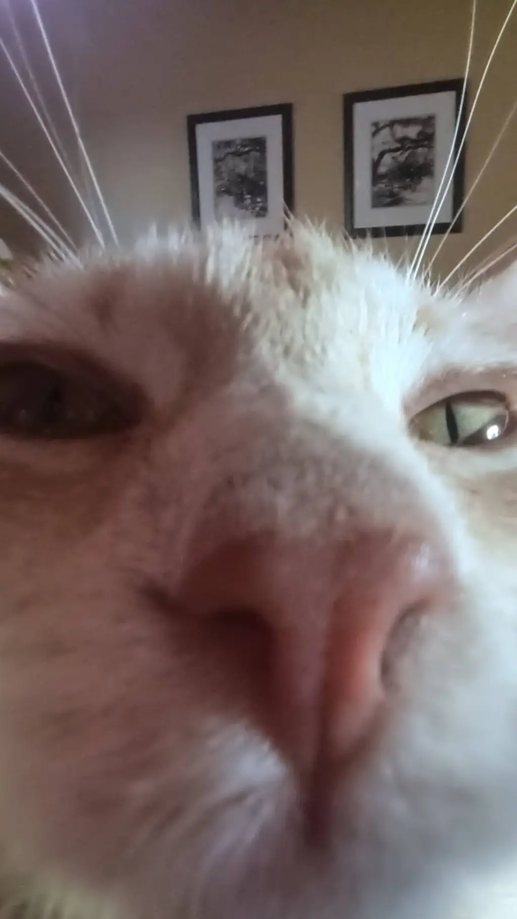 ai character: Hermes x Apollo  background