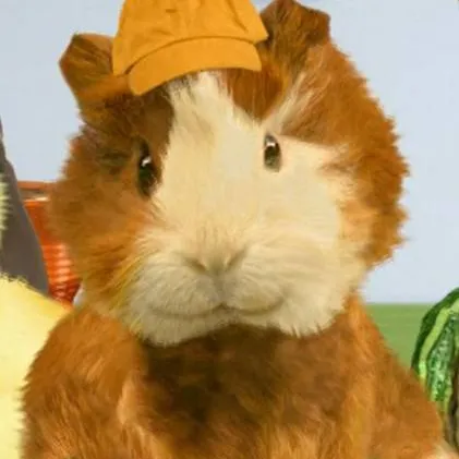 chat with ai character: Wonder pets 
