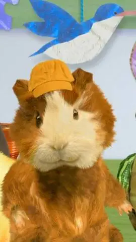 ai character: the Wonder pets background
