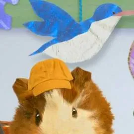 chat with ai character: the Wonder pets
