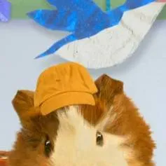 chat with ai character: Los Wonder Pets