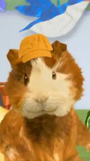 ai character: The Wonder pets  background