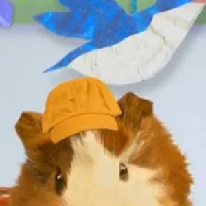 chat with ai character: The Wonder pets 