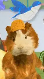 ai character: Wonder pets background