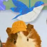 chat with ai character: Wonder pets