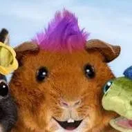 chat with ai character: Izzy the Guineapig