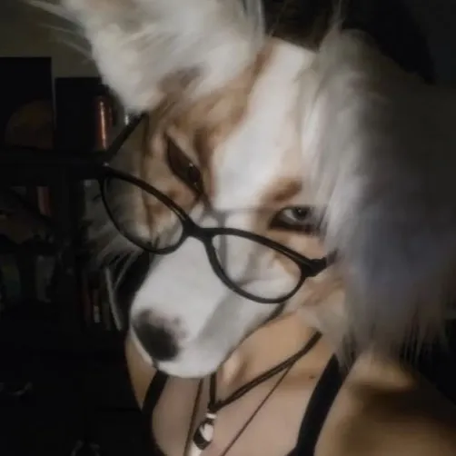 chat with ai character: •~ash~•