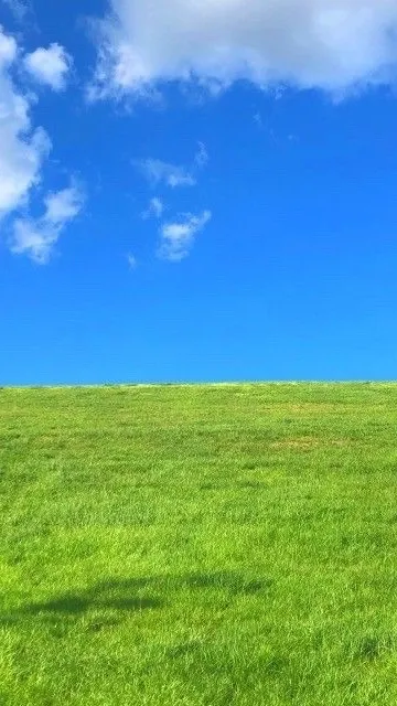 ai character: Forsaken background