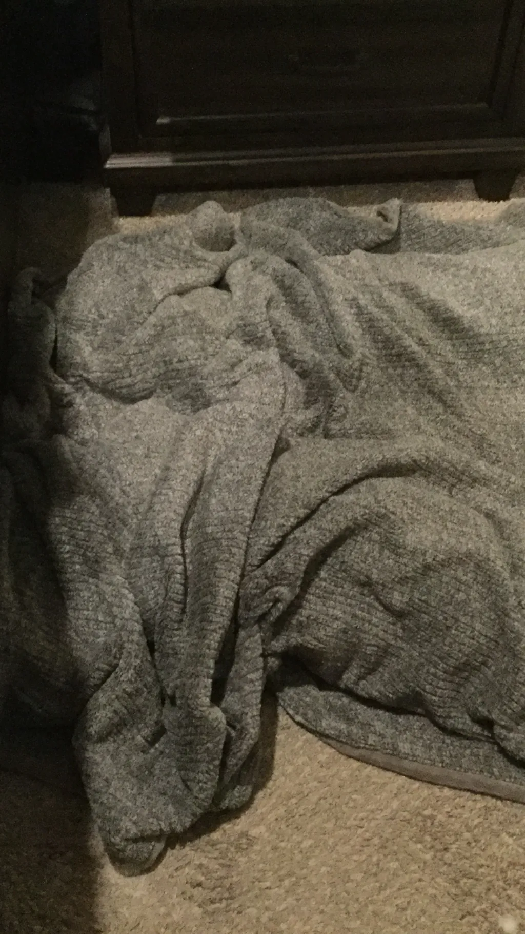 ai character: Uwu cat. background