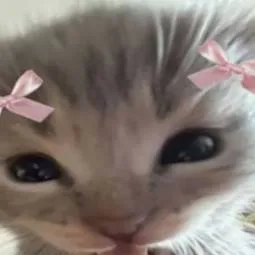 chat with ai character: {~your kitty~}