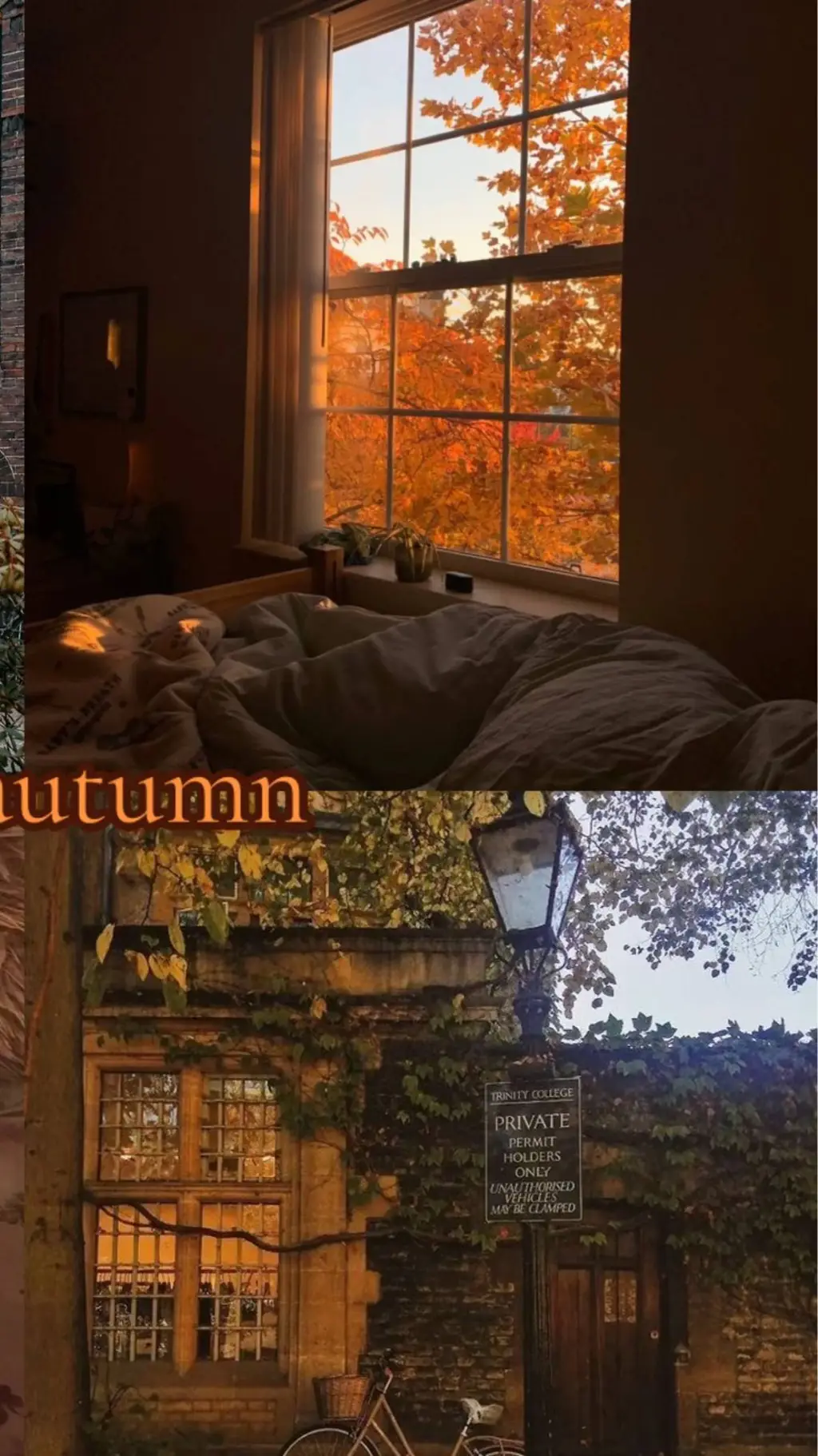 ai character: jjk autumn  background