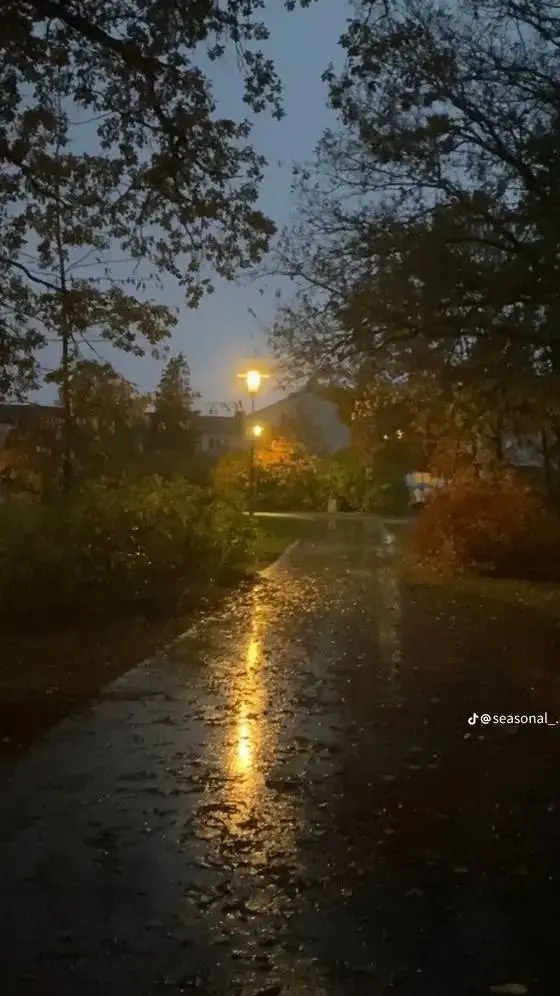ai character: kny autumn rainday background