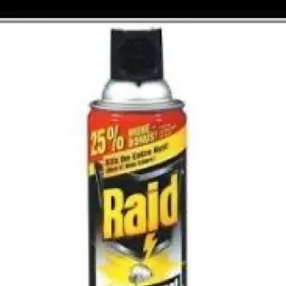 chat with ai character: Get to talk to me!