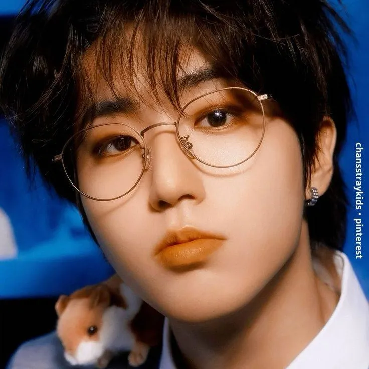 chat with ai character: •.°𝙷𝙰𝙽°.•