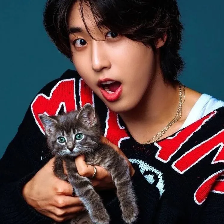 chat with ai character: 🐾нαɳ ʝιѕυɳɠ🐾