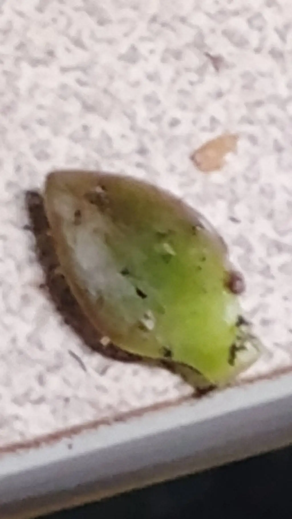 ai character: leefoh background