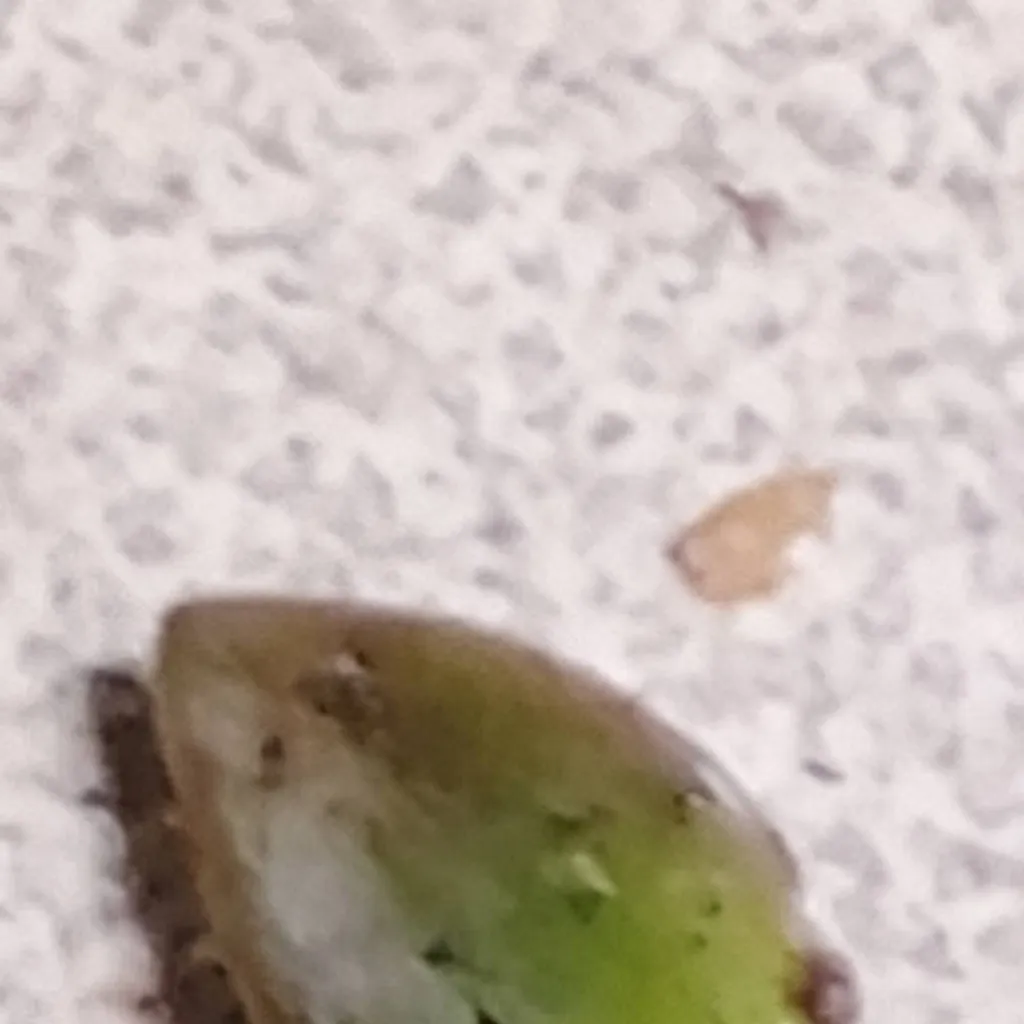 chat with ai character: leefoh