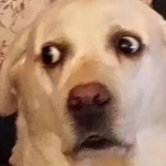 chat with ai character: tu perro gojhan 