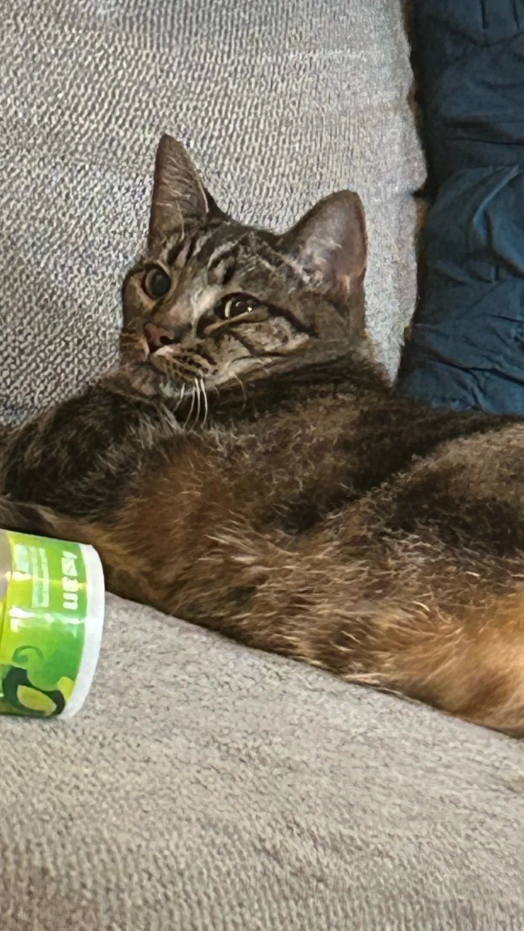 ai character: Saveee background